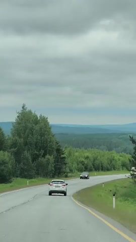 A white hatchback is driving on a two-lane road, which is curving to the right. A dark-colored car is driving in front of the white car, also on the same road. The road is bordered by a green grassy shoulder on the right and a dense forest of trees on the left. In the distance, there are rolling hills covered in trees, and the sky is cloudy.