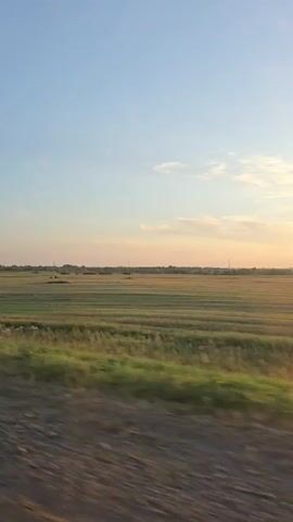The video is a first-person perspective shot from a moving vehicle, likely a car or train, traveling through a rural landscape. The time of day appears to be late afternoon or early evening, with the sun low on the horizon casting a warm glow. The landscape consists of agricultural fields, with some appearing harvested and others with visible crops. There are scattered trees and vegetation along the side of the road or track. The sky is a clear blue with a few wispy clouds. The movement of the vehicle creates a slight blur, particularly in the foreground, emphasizing the sense of travel. The audio includes spoken words in Russian, discussing temperature and weather.