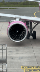 Wizz Air aircraft observed at Dortmund Airport gates