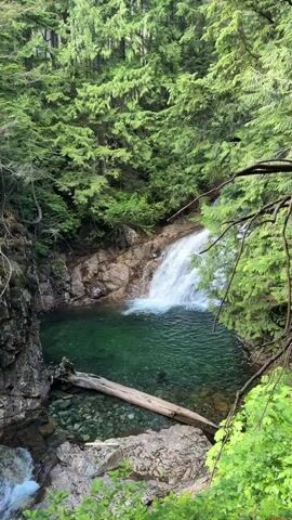 A high-angle shot looks down on a small waterfall cascading into a pool of clear green water. The pool is surrounded by rocks and lush green trees. A fallen log rests across the pool, and a smaller stream flows away from the pool on the left side of the frame. The water is white and frothy as it falls, and the pool is a deep, translucent green. The trees are dense and leafy, creating a sense of seclusion and natural beauty.