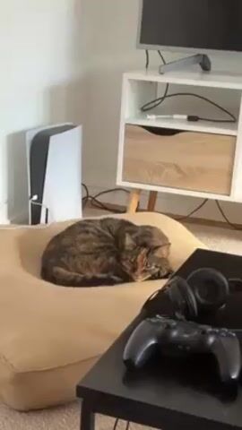 In a well-lit indoor space, a brown tabby cat sleeps curled up on a tan, square-shaped cushion. Beside the cushion, a small black table holds a black PlayStation controller and a pair of black headphones. To the left of the cushion, a white PlayStation 5 console stands upright. Behind the cat and cushion, a white media console with a single drawer sits against a white wall. A flat-screen television is positioned on top of the console. A few power cords are visible on the floor. The sound of a person speaking can be heard, but the person is not visible.