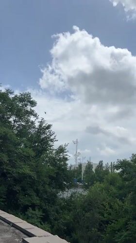 Morning scenes captured in Tashkent urban park area