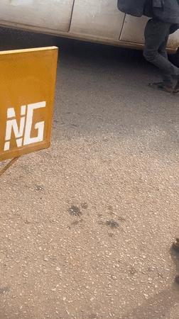 Daily life scenes documented across Gura Top, Nigeria