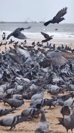 Mumbai, India
