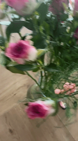 Pink roses in glass vase documented in Fethiye