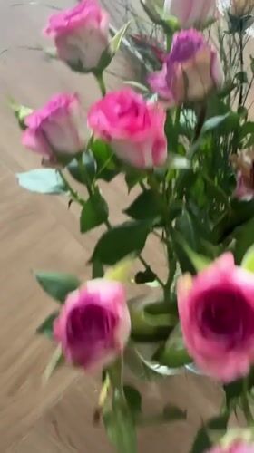 Pink roses in glass vase documented in Fethiye