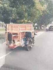 Motorcycle transports large wooden structure on Indonesian road