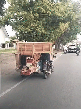 Motorcycle transports large wooden structure on Indonesian road