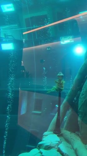 Dubai Aquarium's underwater cityscape display captured by witness