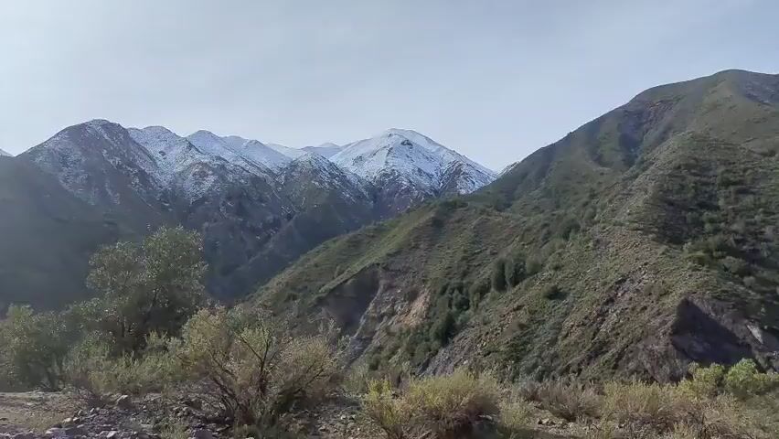 The video pans across a mountainous landscape. In the foreground, there are dry bushes and some bare trees. Beyond that, rolling green hills rise, dotted with small trees and shrubs. In the distance, larger, snow-capped mountains are visible under a bright, partly cloudy sky. The camera moves from left to right, revealing more of the terrain. There are no people or vehicles clearly visible in the frame. The overall impression is one of a vast, natural, and somewhat rugged environment.