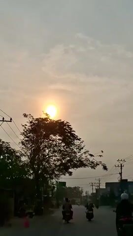 A video shows a tree silhouetted against a cloudy sky at sunset. The sun is visible behind the tree. A road runs in front of the tree, with several motorcycles riding on it. There are utility poles and wires along the side of the road, and buildings are visible in the background. The overall impression is of a rural or suburban scene at dusk.
