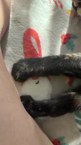 A close-up shot shows the paws of a cat resting on a soft, gray blanket decorated with festive cartoon images of snowmen and holly. The cat's paws are dark, with subtle hints of brown and black fur. The blanket has a fuzzy texture and is illuminated by soft light, creating shadows and highlights. The scene is static, with no apparent movement.