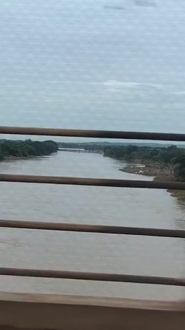 The video shows a wide river with trees lining its banks. The sky is overcast, and the water appears murky. In the distance, a bridge crosses the river. The camera is positioned behind a railing, suggesting the video was filmed from a bridge or elevated structure. The scene is static, with no visible people or animals. The overall impression is one of a natural landscape viewed from a man-made vantage point.