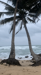 Coastal scene observed in Midigama, Sri Lanka