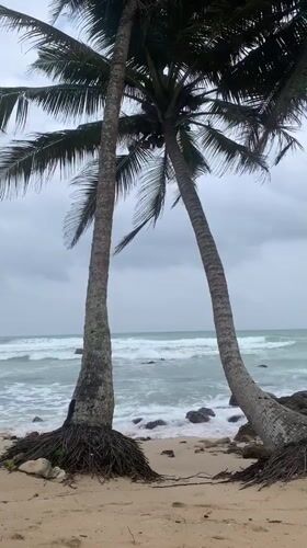 Coastal scene observed in Midigama, Sri Lanka