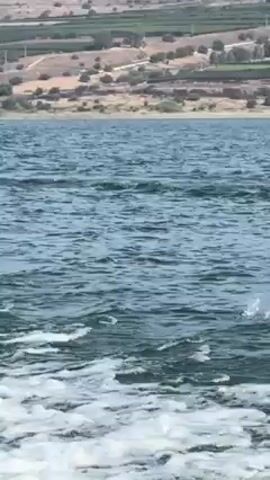 Here is a description of the video:

The video shows a man wakeboarding. He starts by riding the board on top of the water, wearing a life vest and holding onto a rope attached to a boat. He then attempts a trick and falls, with the board splashing into the water. The video ends with a view from the boat, showing the rope being pulled through the water and the resulting splash. The scene is set on a sunny day, with a body of water and hills in the background.