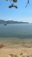 Tourist captures scenic waterfront moments in Nha Trang Vietnam