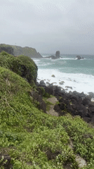 Jeju's volcanic coastline, rough seas and green cliffs