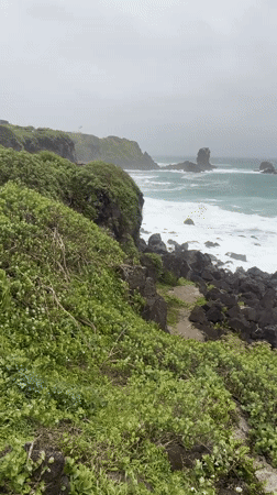 Jeju's volcanic coastline, rough seas and green cliffs