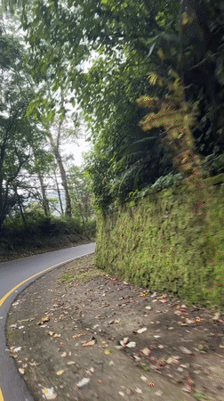 Motorcyclist rides through green mountains in Baturiti, Indonesia