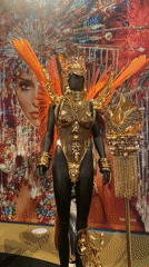 Carnival costume exhibition documented in Rio de Janeiro