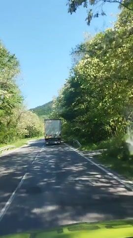 A truck travels on a road, seen from the perspective of a following vehicle. The road is surrounded by trees on either side, casting shadows on the asphalt. The sky is clear and blue.  The trees are lush and green, with some patches of white blossoms. A mountain is visible in the distance. The truck has a white cargo container on its back. The road has white lane markings. The camera is likely mounted inside the following vehicle.