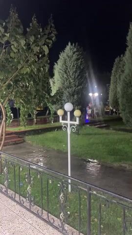 The video shows an outdoor scene at night. The ground appears wet, suggesting it may have rained or is raining. Several trees, including a prominent leafy tree on the left and tall, conical evergreen trees in the background, are visible. A white lamppost with three globes (two yellow and one white) stands in the center of the frame. In the background, there are lights, including what appears to be a street lamp and possibly some colored lights, suggesting a public area or gathering. A black metal railing runs along the bottom of the frame, separating the viewer from the grassy area. The overall impression is of a park or garden setting at night, possibly with some ongoing activity or event given the lights in the background. No people are clearly identifiable in the foreground, but there are figures visible in the distance near the lights.