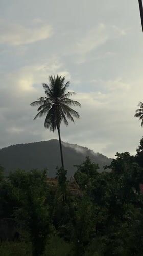 Heavy rain rolls through Baan Mae Nam on a grey morning