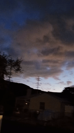 Dawn or dusk view captured in Los Angeles neighborhood