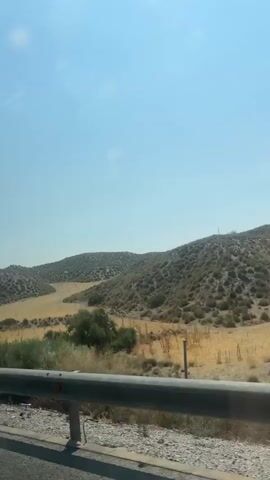 The video captures a view from a moving vehicle, likely a car, looking out at a natural landscape. The sky is a clear, bright blue, with a slight glare from the sun on what appears to be the vehicle's window. In the foreground, a metal guardrail runs horizontally across the bottom of the frame, indicating the perspective is from a road. Beyond the guardrail, there is a patch of dry, yellowish ground with sparse, low-lying vegetation and some scattered bushes. Further back, rolling hills dominate the scene, covered in dry grass and scrub. The hills have a textured appearance, with visible layers or striations in some areas, suggesting exposed rock or stratified soil. There are occasional small trees or large bushes dotting the hillsides. In the distance, a few faint vertical structures, possibly fence posts or utility poles, can be seen on the crest of the hills. The overall impression is of a dry, arid environment under a bright, sunny sky, viewed from a roadside.