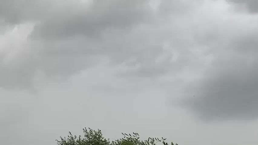 This media file captures a cloudy, overcast sky above a residential area in Belogorsk, Russia. The sky is filled with dense, gray clouds, suggesting an impending storm or rainy weather. Below the clouds, the tops of trees and a few houses are visible. The trees are lush and green, indicating a warmer season, likely spring or summer. The houses appear to be simple, with pitched roofs, consistent with a rural or suburban setting. Power lines are also visible, running horizontally across the frame, connecting buildings. The overall mood is somber, reflecting the dull, cloudy weather. There is no discernible activity or event taking place; the scene is static, focusing on the atmosphere and the natural elements. No text is visible in the media file.