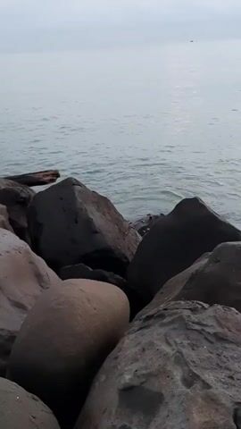 The video presents a view of a calm body of water, likely the sea or a large lake, from a vantage point amongst large, dark rocks. The sky is overcast, casting a soft, diffused light over the scene. In the distance, a small boat or vessel is visible on the water. The rocks in the foreground vary in size and shape, with some appearing smoother and more rounded than others. A piece of driftwood rests atop some of the rocks near the water's edge. The gentle ripples of the water are visible as they reach the rocks, creating a subtle sense of movement in the otherwise still scene.