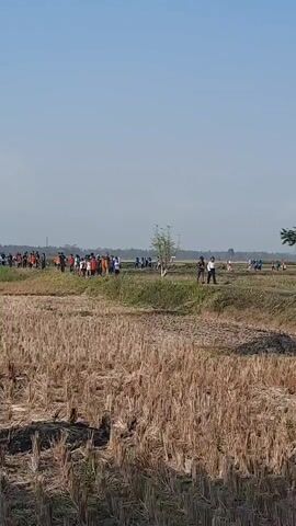 A group of people are walking and running across a dry, harvested field under a clear blue sky. The field is mostly golden brown stubble, with some patches of green vegetation. In the distance, there is a line of trees and structures. The people are spread out, some walking in a line and others more scattered. Some appear to be participating in an event, possibly a race or a procession. The overall atmosphere seems to be one of outdoor activity.