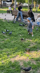 Park day with pigeons and ice cream in Krasnoyarsk