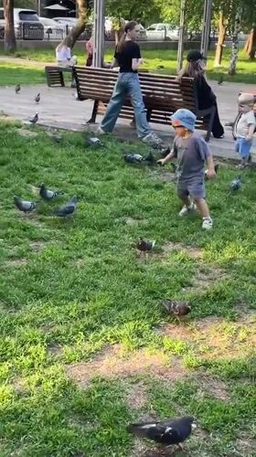Park day with pigeons and ice cream in Krasnoyarsk