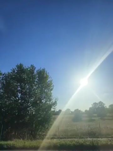 The video displays a sun-drenched rural landscape. The sky is a vibrant blue, with the sun shining brightly and creating lens flares. In the foreground, there's a roadside with grass and a dark horizontal line that appears to be a road surface. The middle ground features a line of trees with lush green foliage, partially obscuring the sun's rays. Beyond the trees, there are agricultural fields, likely farmland, with some areas appearing tilled or planted. The overall impression is one of a clear, sunny day in a natural, open environment.