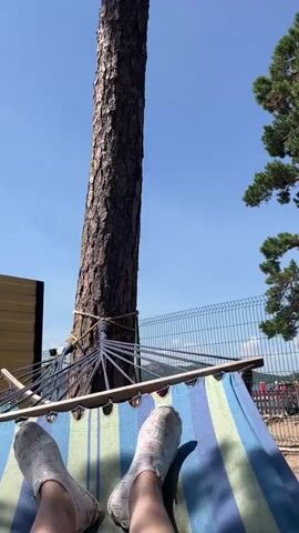 A person's legs and feet, clad in white sneakers with a multi-colored pattern, are visible lying in a hammock. The hammock, which has stripes of blue, green, and yellow, is suspended between two trees. One tree, a tall pine, is the primary focus and its bark is textured and brown. The other tree is on the right side of the frame, with green pine needles. The sky is a clear blue. In the background, a chain-link fence is visible, and beyond that, a body of water and a beach with people can be seen. To the left of the pine tree, a portion of a yellow structure, possibly a wall or shed, is visible.