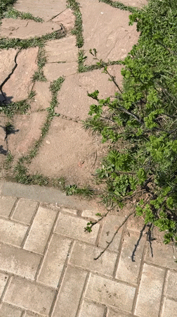 Bronze woman statue filmed in Cheboksary park near lake