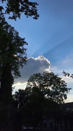 Person enjoys casual afternoon activities in Strasbourg park