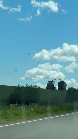 A self-propelled forage harvester is operating on a grassy hillside, cutting grass and loading it into a truck. Several birds are visible flying in the sky above the harvester. The sky is blue with scattered white clouds. A paved road is in the foreground, with green foliage on the side. The scene appears to be a rural agricultural area during the daytime.