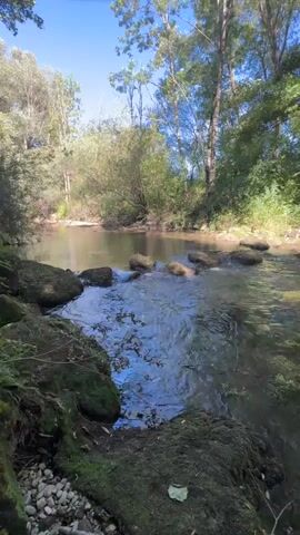 A stream flows through a wooded area. Large rocks are visible in the foreground and in the stream. Trees and foliage line the banks of the stream. Sunlight filters through the trees, casting shadows on the water. The sky is visible above the trees, appearing blue with some clouds. The video appears to be filmed from a low angle, close to the water's edge.