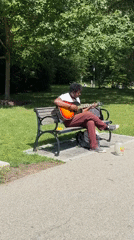 Afternoon at Niagara Falls State Park, waterfalls and parkside scenes