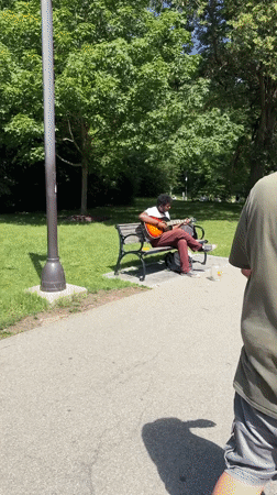 Afternoon at Niagara Falls State Park, waterfalls and parkside scenes