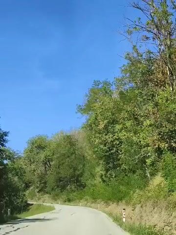 The video shows a view from a vehicle traveling on a paved road that curves to the left. The road is bordered by a grassy embankment and dense green foliage. The sky is clear and blue. There are several white and orange striped road markers visible along the right side of the road. The trees are lush and green, with some bare branches visible among the leaves. The camera appears to be positioned on the front passenger side of the vehicle, looking out and slightly forward. The motion of the vehicle causes the scenery to move past the viewer.
