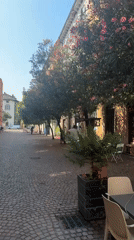 Pink-blossomed trees line a cobblestone café street in Trento