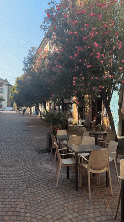 Pink-blossomed trees line a cobblestone café street in Trento