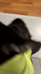 Woman documents evening routine, kitten moment in Chaikovsky