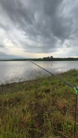 The camera is positioned behind a fishing rod that is pointed towards a lake. The lake is calm and covered in ripples, reflecting the overcast sky above. The sky is filled with dark, heavy clouds. The shore is covered in green grass and weeds. In the distance, trees line the horizon.