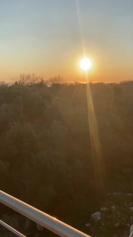 The video shows a sunrise over trees and water. The sun is bright and casts a strong glare, creating a prominent lens flare. The sky is a gradient of blue and orange. Silhouette of trees can be seen in the middle ground, with hints of building roofs peeking through. The bottom of the frame shows a partial view of a railing.