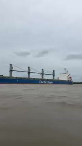 The video shows a large blue and white cargo ship labeled "Pacific Basin" moving on a body of water. The water is choppy and brown, and the sky is overcast with gray clouds. The ship has multiple cranes and a tall, white structure at the back. There is land with trees visible in the distance. The camera appears to be on a boat or another vessel, giving a slightly unsteady view of the passing ship. The overall scene is industrial and maritime.
